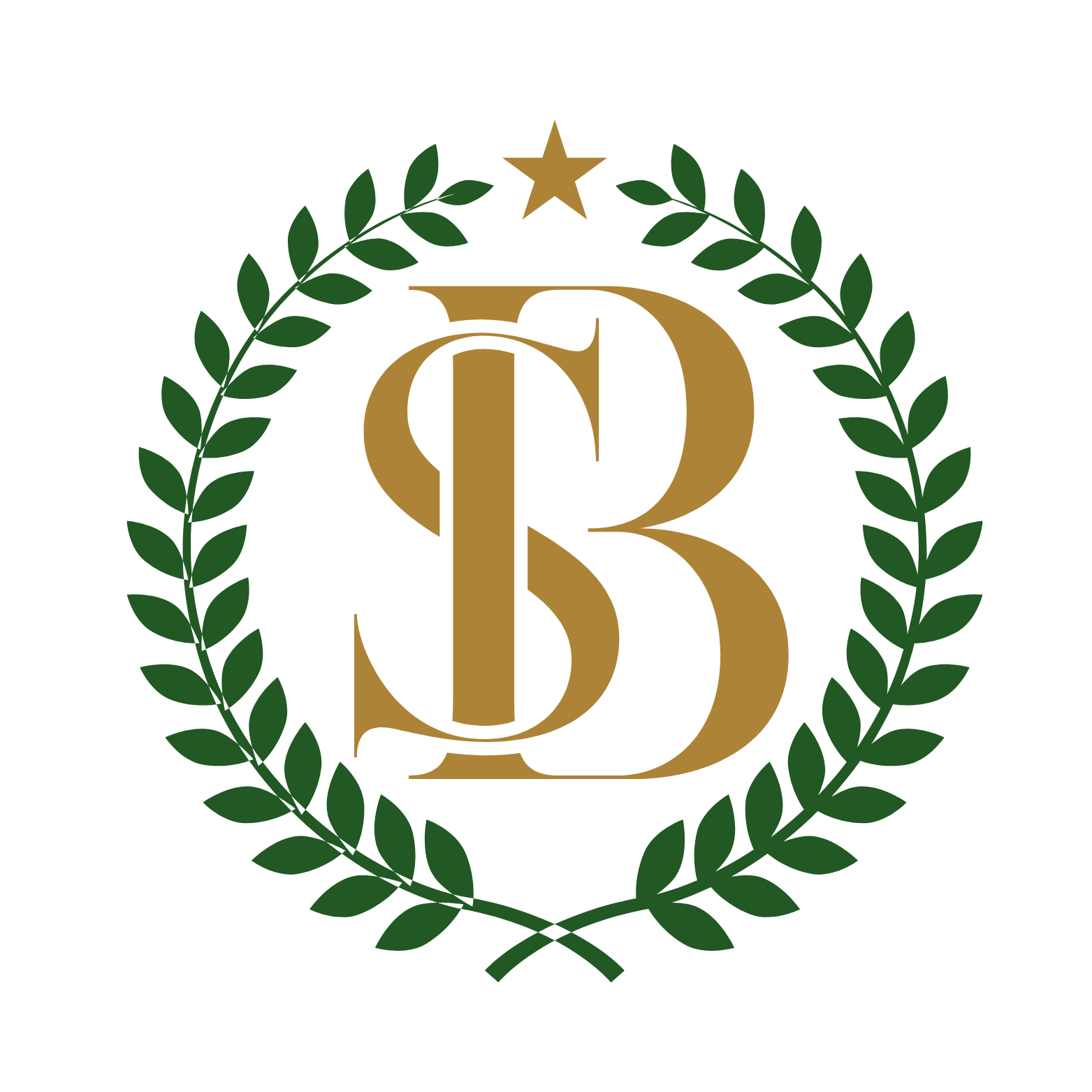South Burials - SB Icon ( Transparent Background)